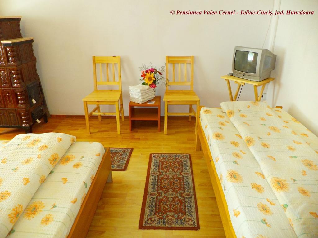 Pensiunea Valea Cernei Teliucu Inferior Chambre photo