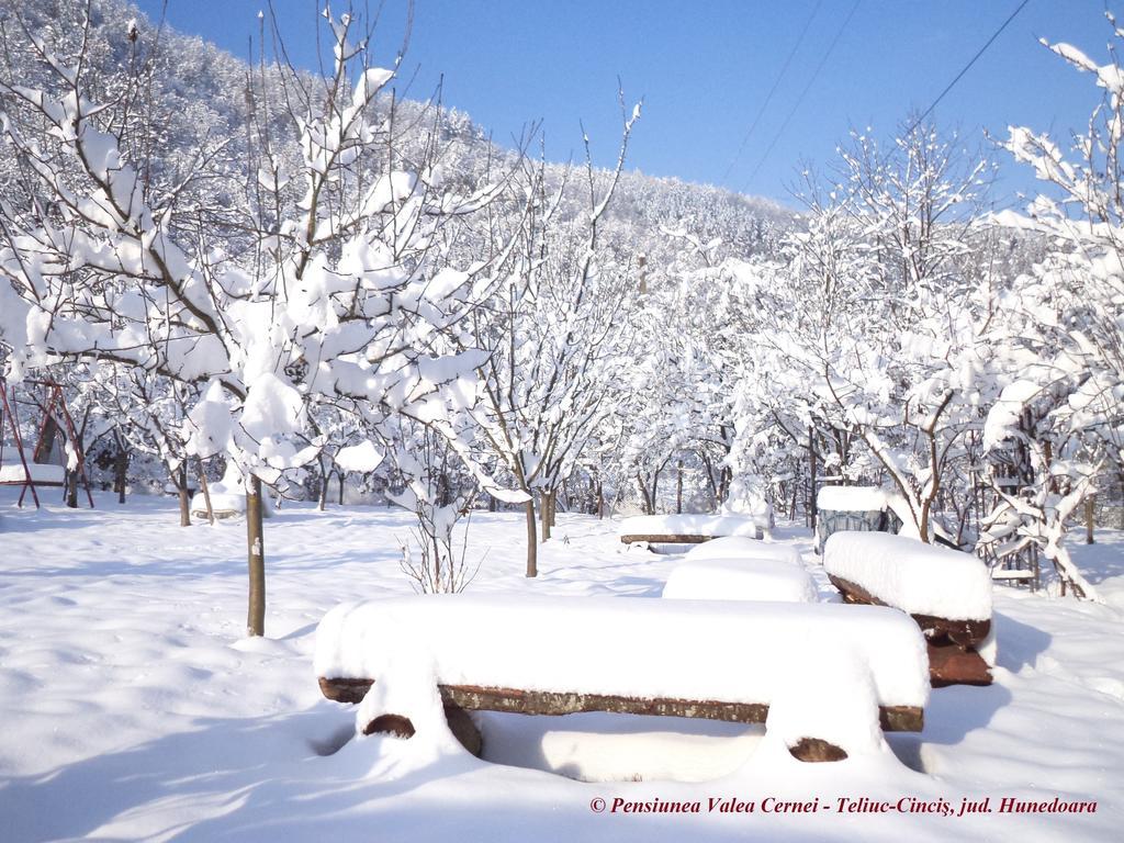 Pensiunea Valea Cernei Teliucu Inferior Extérieur photo