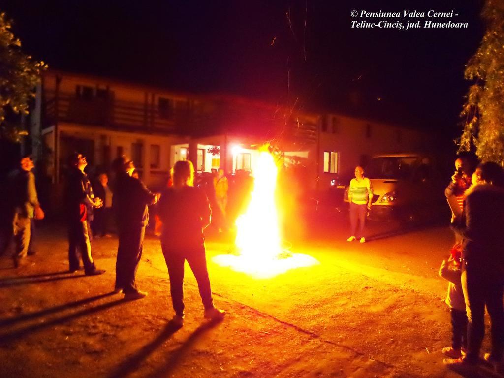Pensiunea Valea Cernei Teliucu Inferior Extérieur photo