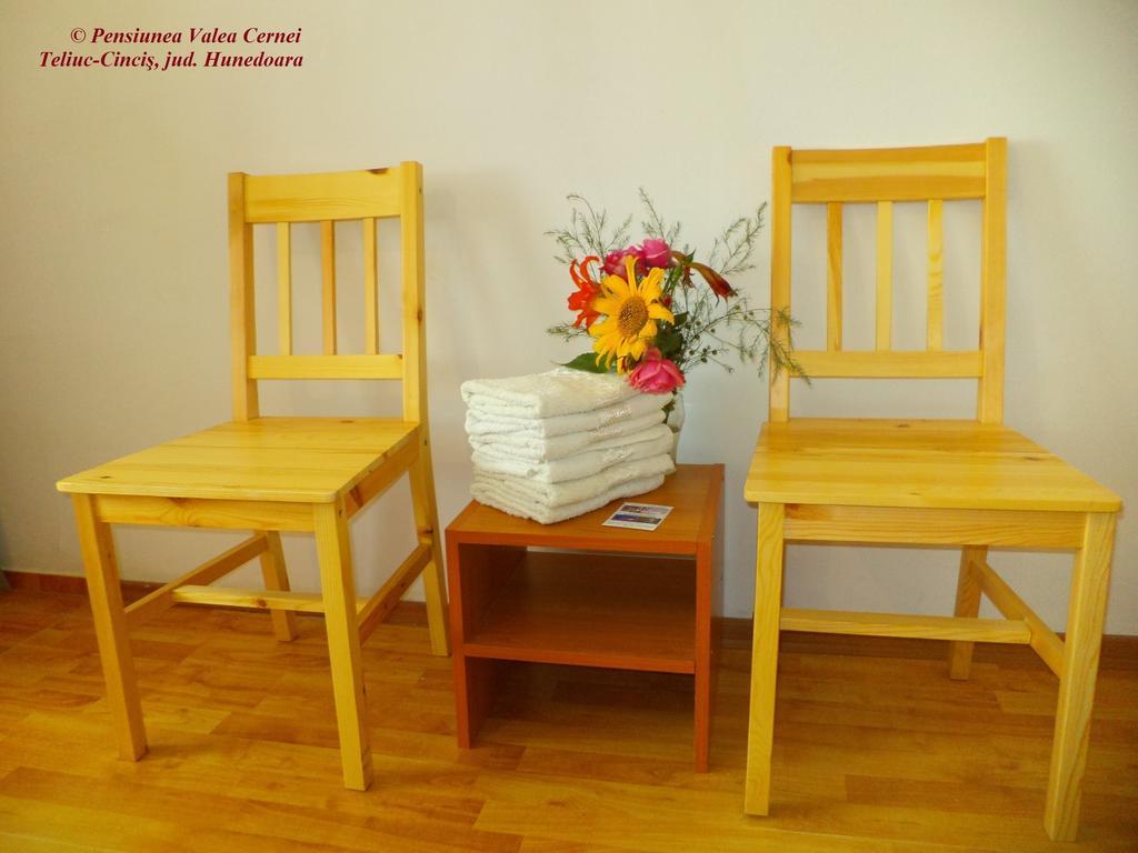 Pensiunea Valea Cernei Teliucu Inferior Chambre photo