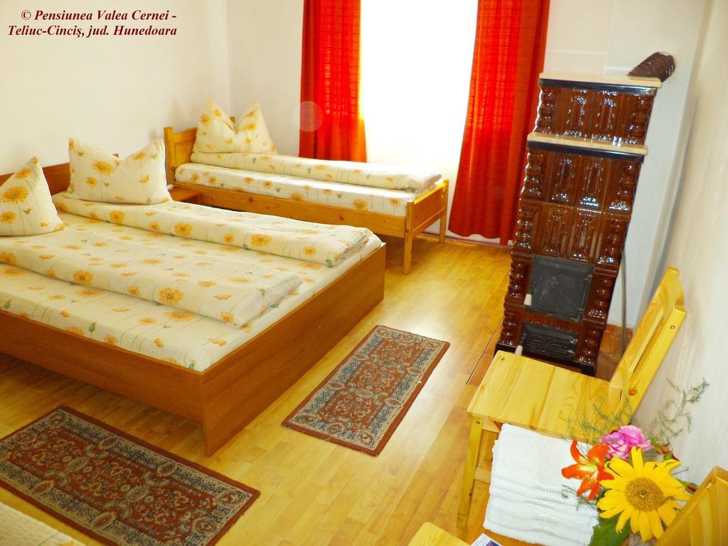 Pensiunea Valea Cernei Teliucu Inferior Chambre photo