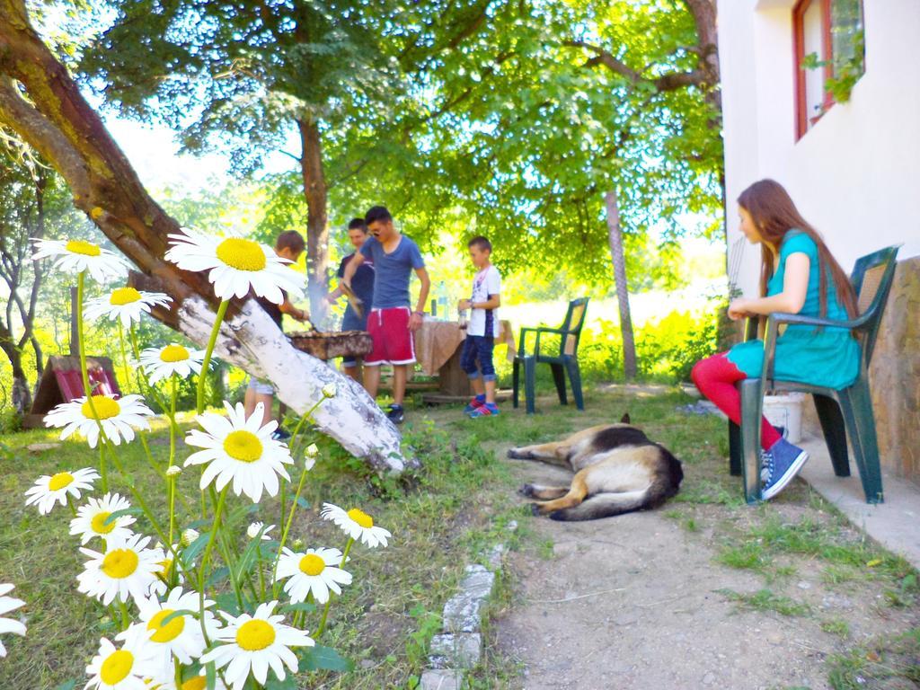 Pensiunea Valea Cernei Teliucu Inferior Extérieur photo