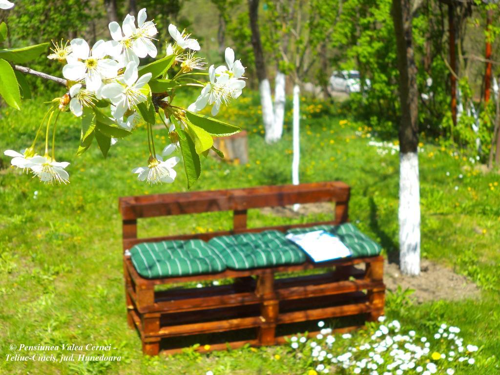 Pensiunea Valea Cernei Teliucu Inferior Extérieur photo