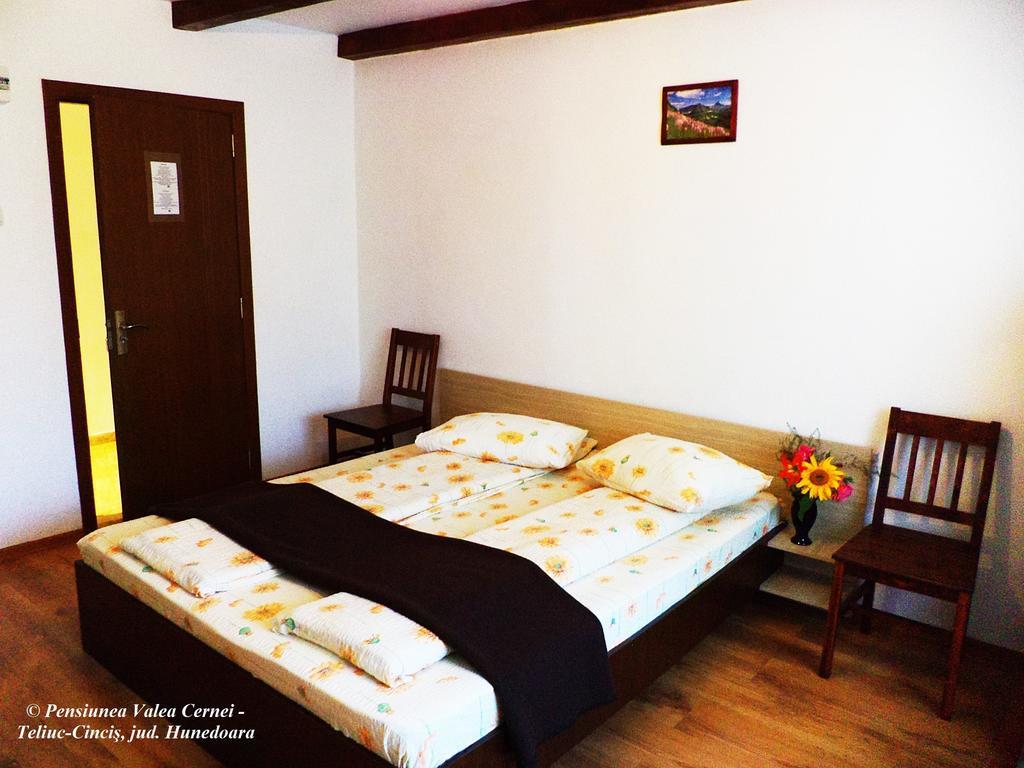 Pensiunea Valea Cernei Teliucu Inferior Chambre photo