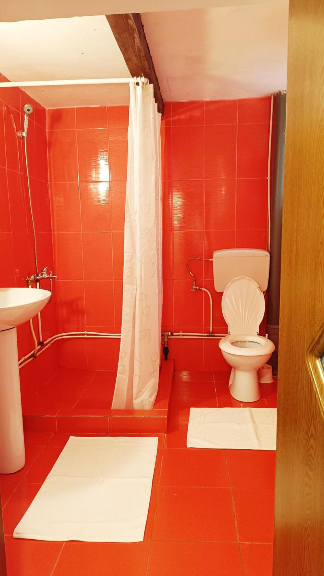Pensiunea Valea Cernei Teliucu Inferior Extérieur photo