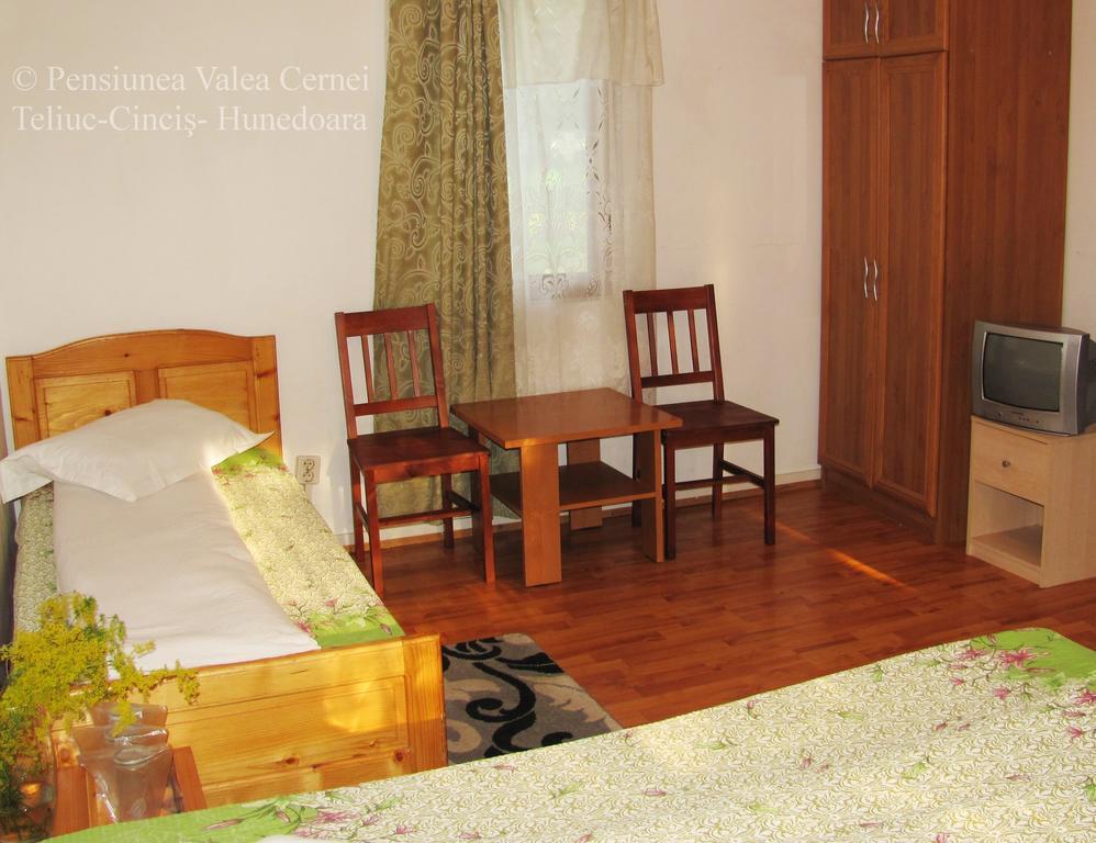 Pensiunea Valea Cernei Teliucu Inferior Extérieur photo