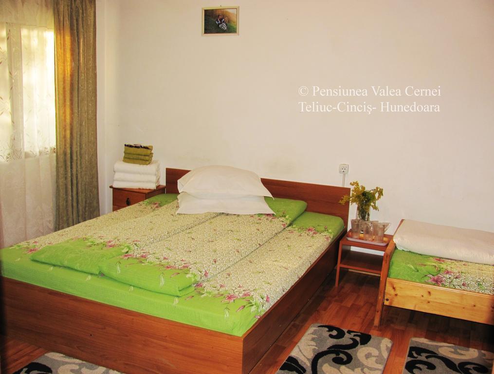 Pensiunea Valea Cernei Teliucu Inferior Extérieur photo